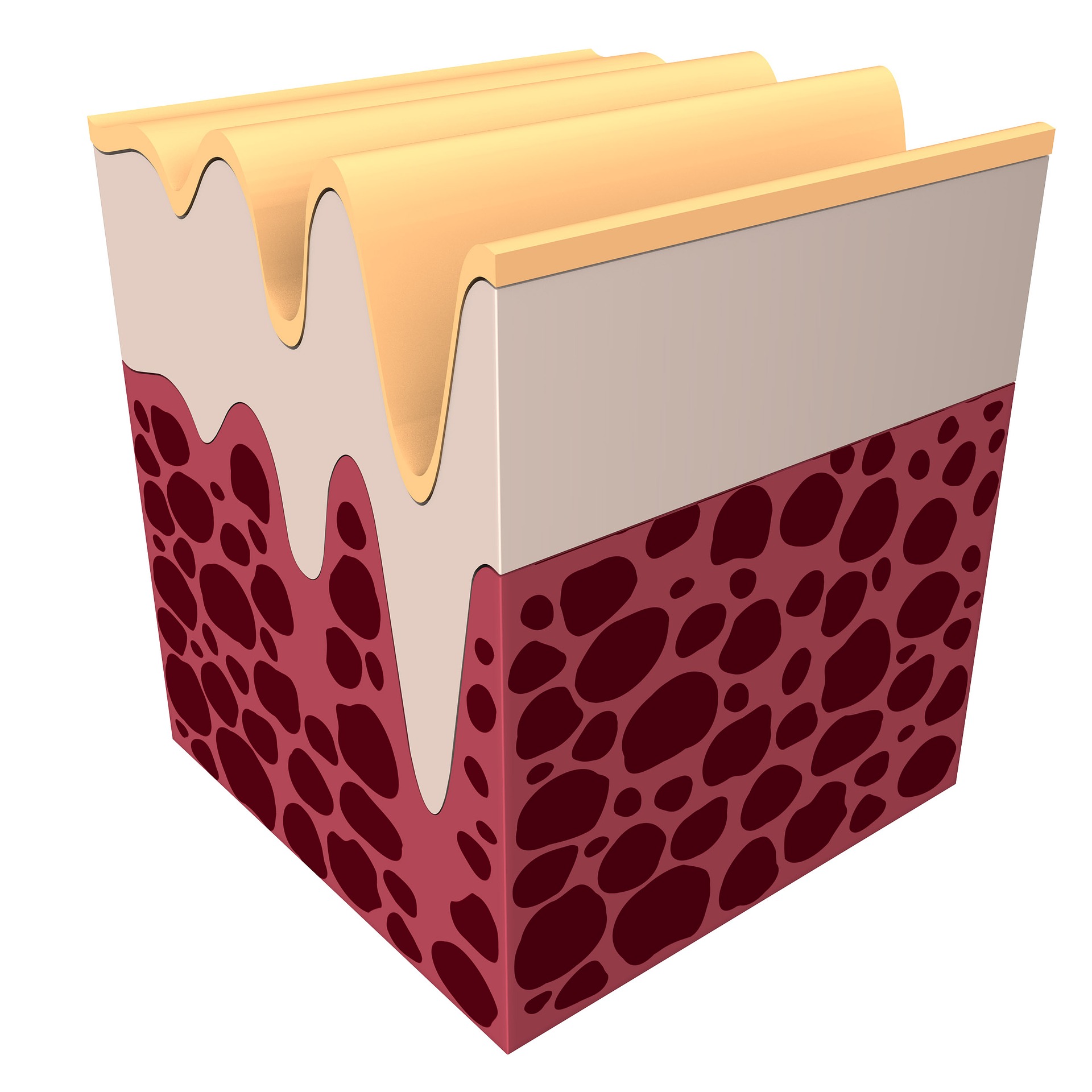 Protein - Kollagen Düren