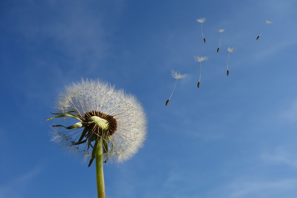 Heilfasten-Coaching Düren - Therapeutic-Fasting und Fasting-Cure Heilfasten-Coaching Düren - Therapeutic-Fasting und Fasting-Cure