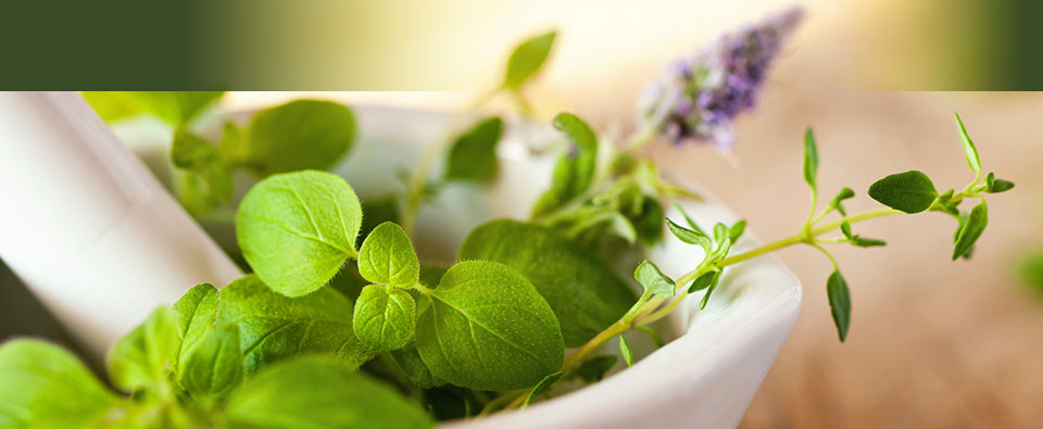 Online Naturheilmethoden mit psychologischem Coaching - Heilpraxis für Naturheilverfahren in Düren. Online Naturheilmethoden mit psychologischem Coaching - Heilpraxis für Naturheilverfahren in Düren.