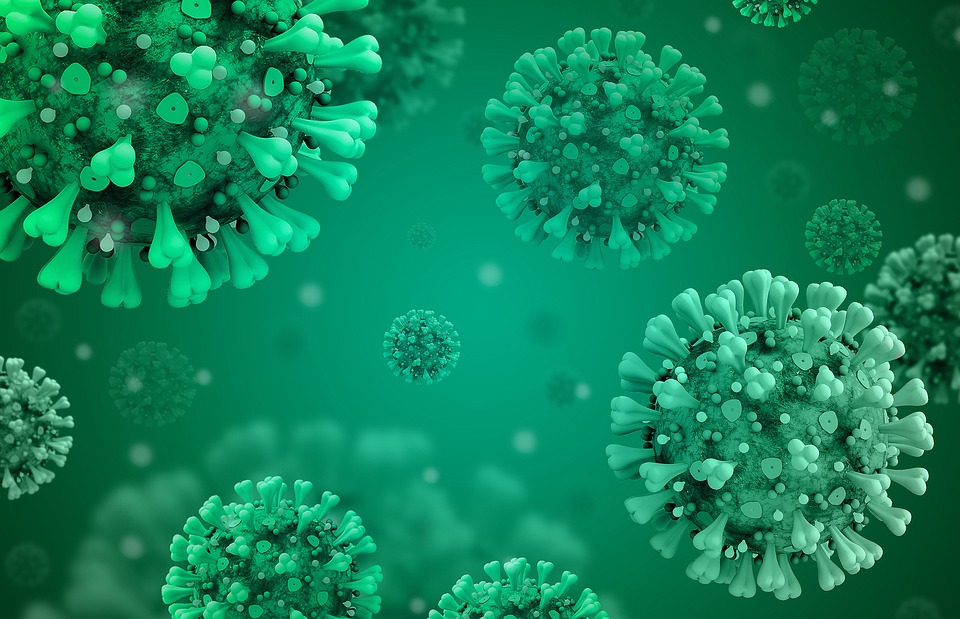 Medizinische-Mikrobiologie Düren - Mikroorganismen-Coaching - Ganzheitliche Protozoenbehandlung. Medizinische-Mikrobiologie Düren - Mikroorganismen-Coaching - Ganzheitliche Protozoenbehandlung.