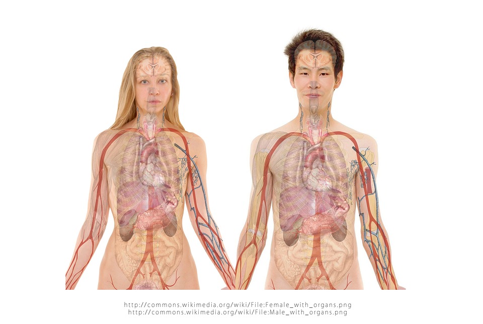 Infektionskrankheit Düren - Influenza-, Grippe- Erkältungstherapie - Pneumonie - Lungenentzündung Infektionskrankheit Düren - Influenza-, Grippe- Erkältungstherapie - Pneumonie - Lungenentzündung
